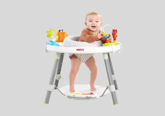 Skip Hop Baby Activity Center